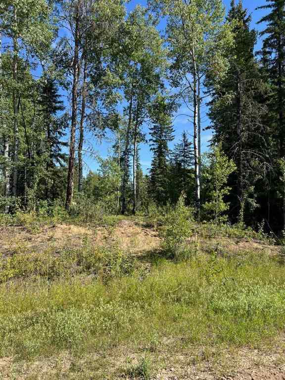 MLS® A2249646 -  SW-21-70-6-W6   in Dunes West Rural Grande Prairie No. 1, County of, Land