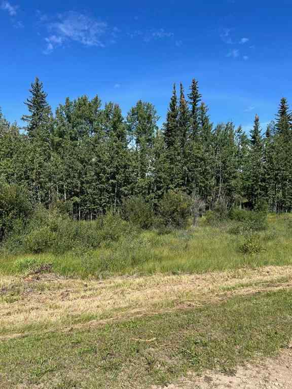 MLS® A2249646 -  SW-21-70-6-W6   in Dunes West Rural Grande Prairie No. 1, County of, Land