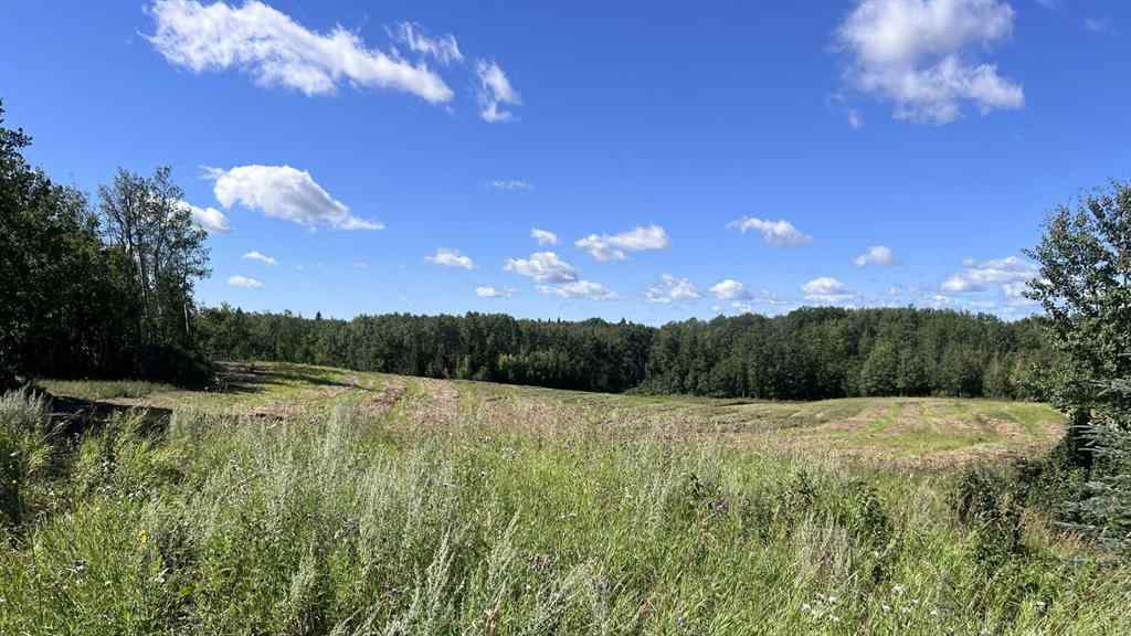MLS® A2249647 -  SW 21-43-1 W5   in NONE Rural Ponoka County, Land