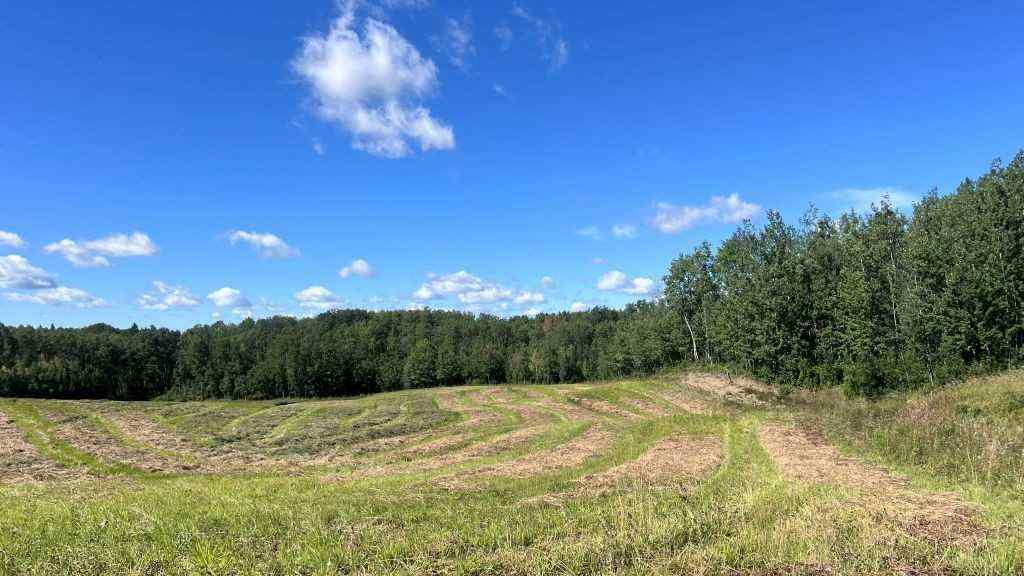 MLS® A2249647 -  SW 21-43-1 W5   in NONE Rural Ponoka County, Land