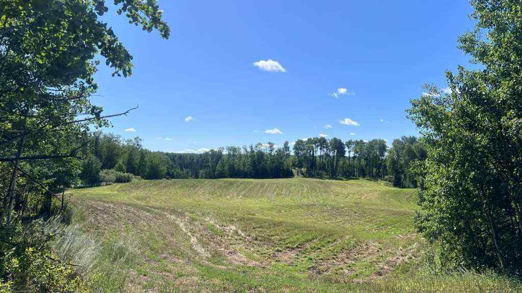 MLS® A2249647 -  SW 21-43-1 W5   in NONE Rural Ponoka County, Land