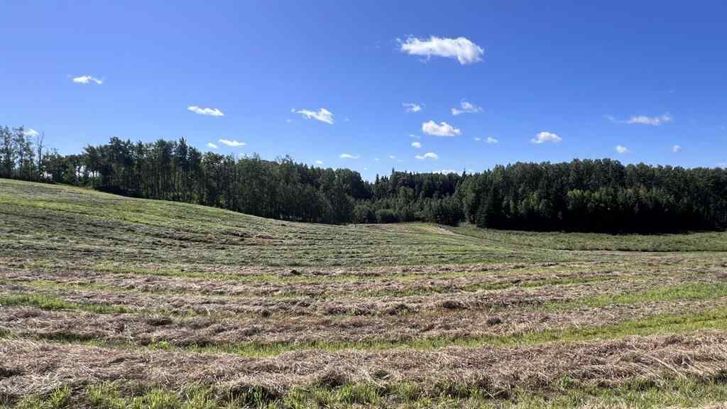 MLS® A2249647 -  SW 21-43-1 W5   in NONE Rural Ponoka County, Land