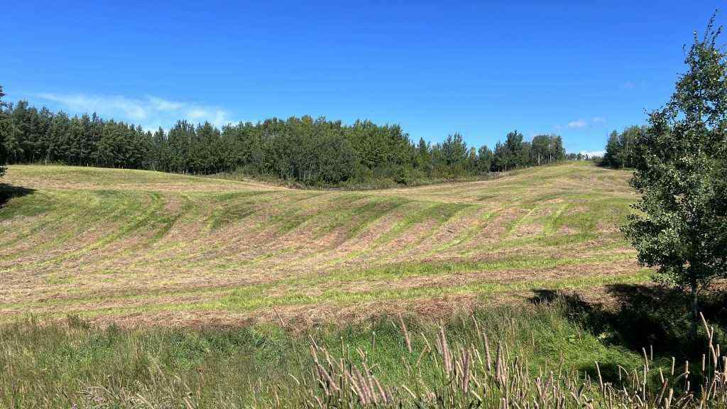 MLS® A2249647 -  SW 21-43-1 W5   in NONE Rural Ponoka County, Land