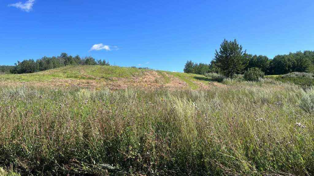 MLS® A2249647 -  SW 21-43-1 W5   in NONE Rural Ponoka County, Land