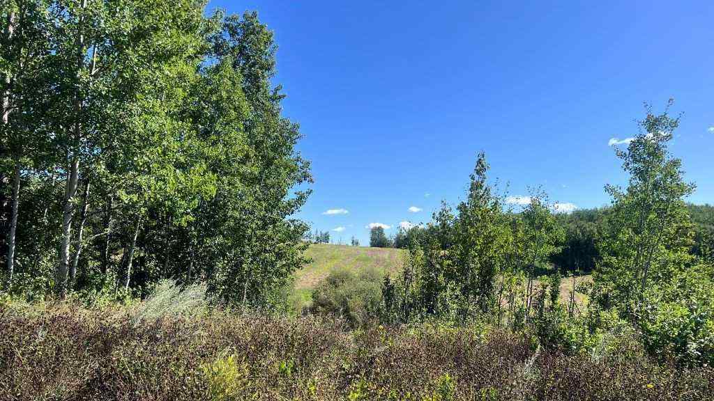 MLS® A2249647 -  SW 21-43-1 W5   in NONE Rural Ponoka County, Land