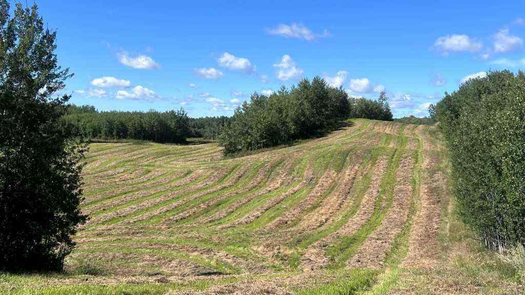 MLS® A2249647 -  SW 21-43-1 W5   in NONE Rural Ponoka County, Land