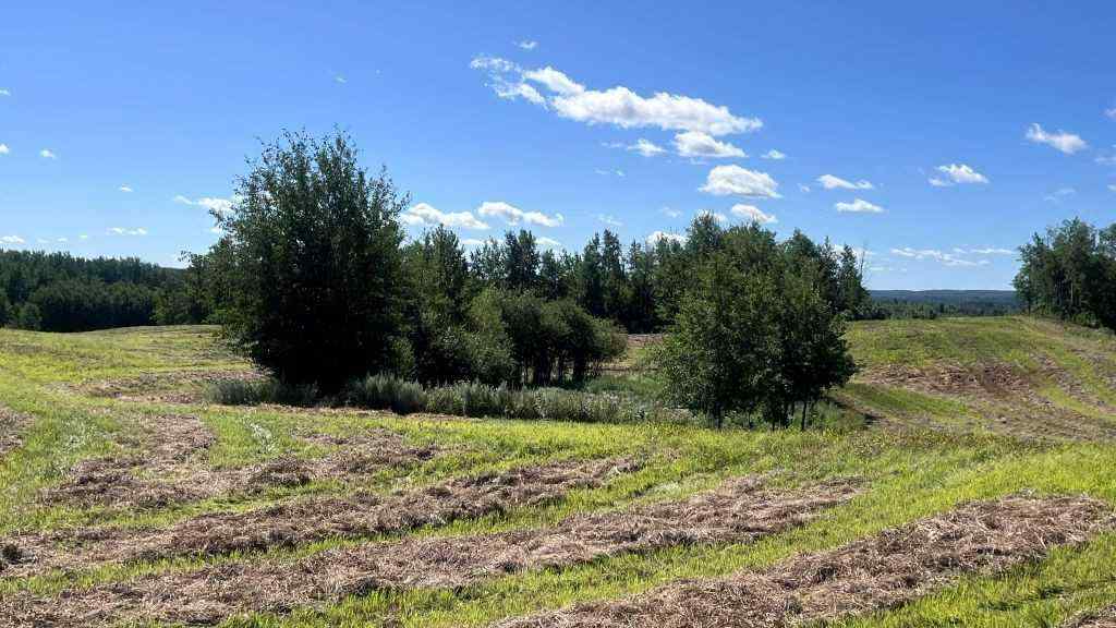 MLS® A2249647 -  SW 21-43-1 W5   in NONE Rural Ponoka County, Land
