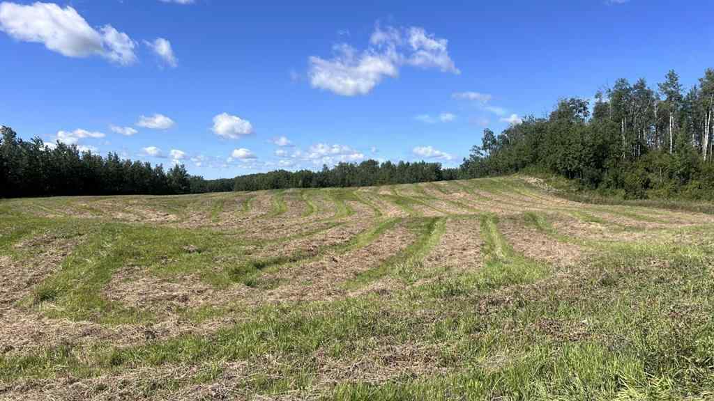 MLS® A2249647 -  SW 21-43-1 W5   in NONE Rural Ponoka County, Land