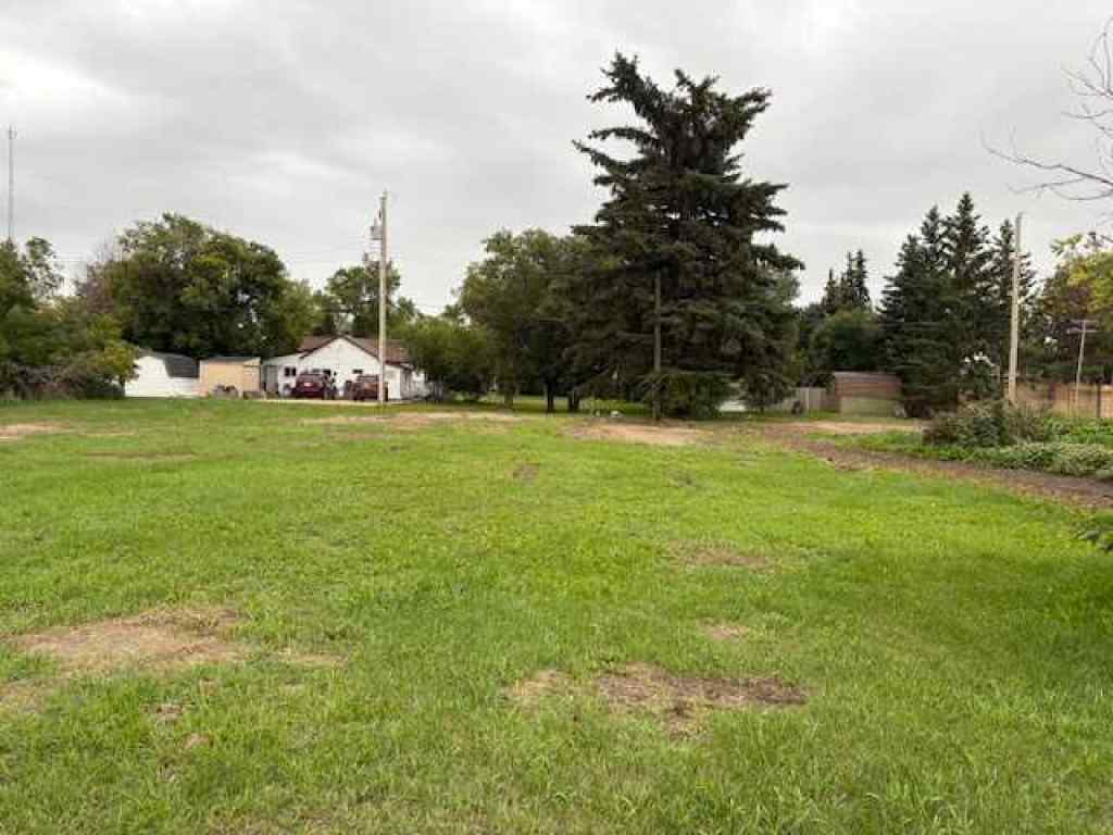 MLS® A2249848 - 4911 52 Street  in Lougheed Lougheed, Land