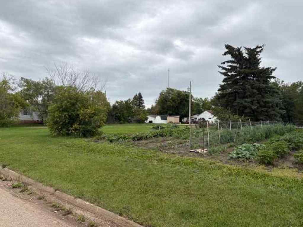 MLS® A2249848 - 4911 52 Street  in Lougheed Lougheed, Land