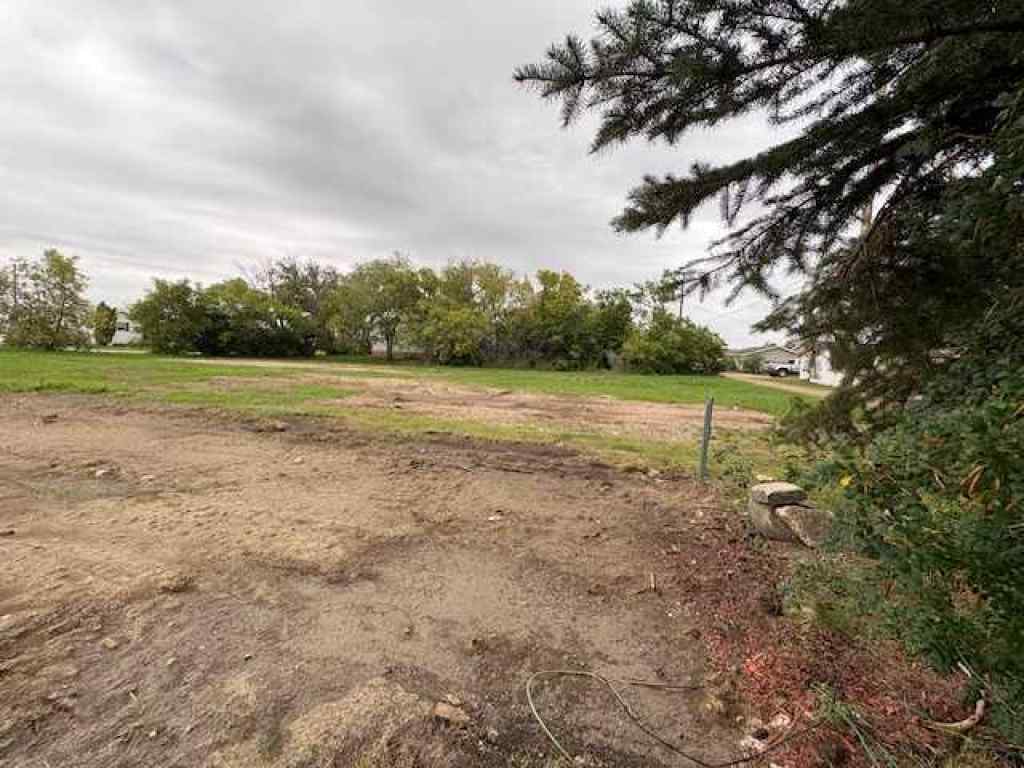 MLS® A2249848 - 4911 52 Street  in Lougheed Lougheed, Land