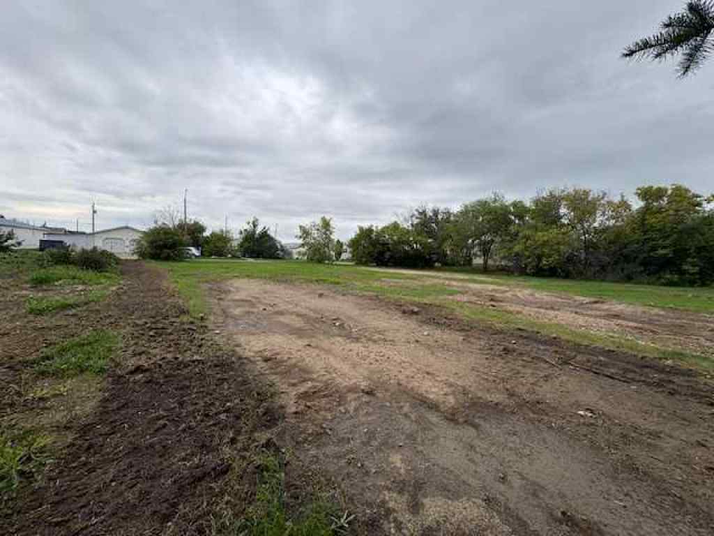 MLS® A2249848 - 4911 52 Street  in Lougheed Lougheed, Land