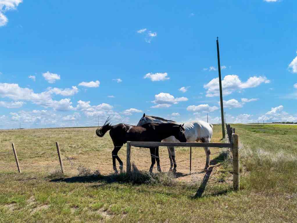 MLS® A2249985 - Unit #1 13402 Range Road 75   in NONE Rural Cypress County, Residential