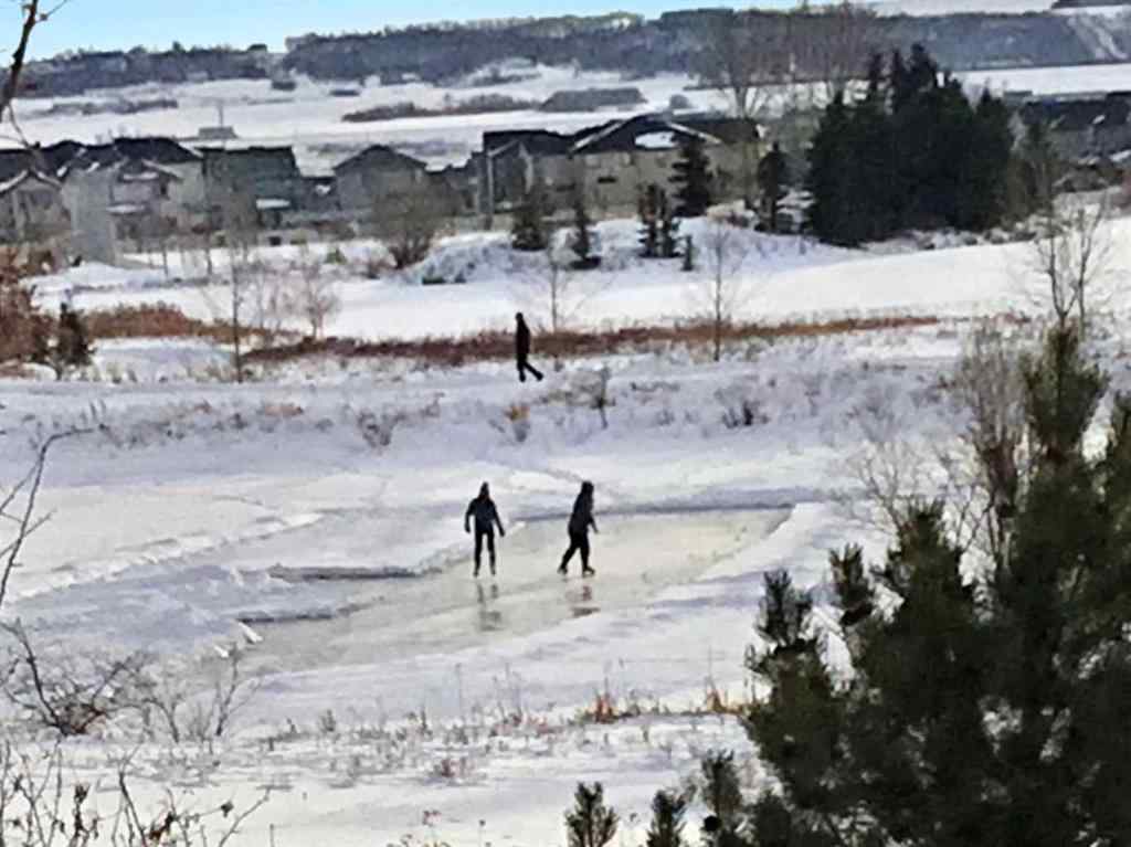 MLS® A2250088 - 55 Billy Haynes Trail  in Air Ranch Okotoks, Residential