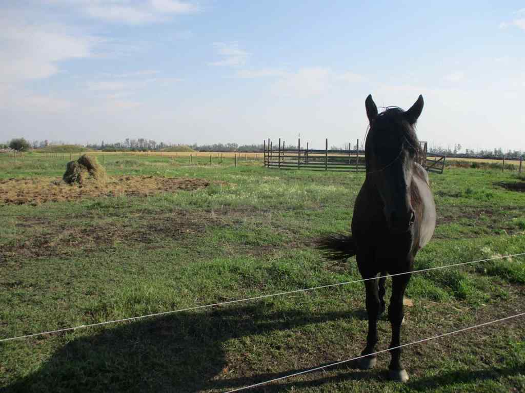 MLS® A2250190 - 932041 Hwy 35   in NONE Rural Northern Lights, County of, Residential