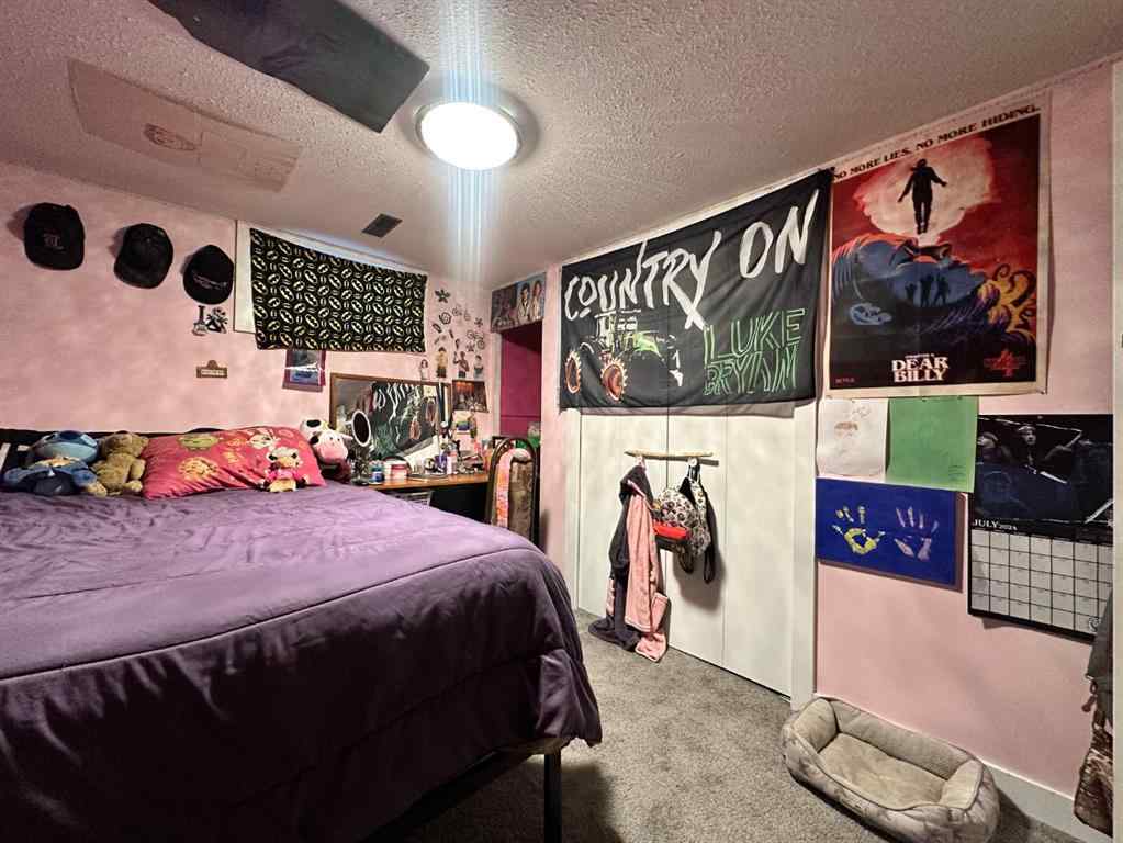 MLS® A2250204 - 312 Main Street  in NONE Maidstone, Residential