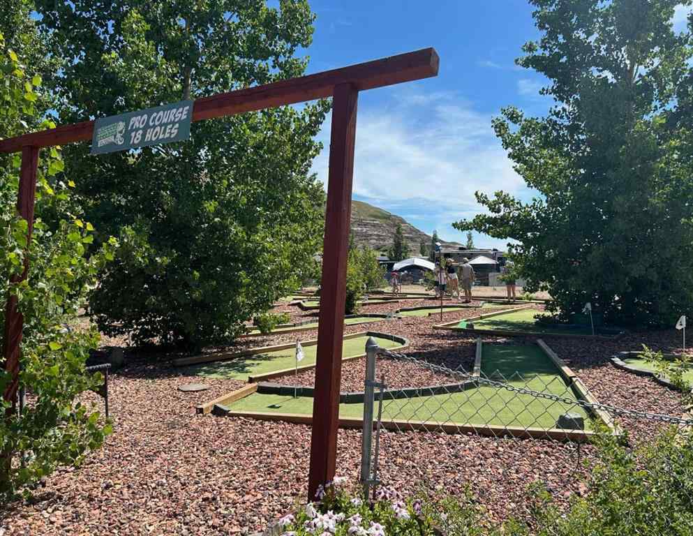 MLS® A2250208 - 292138 HWY 838   in NONE Drumheller, Commercial