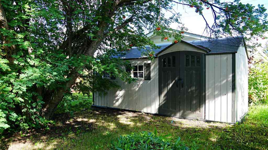 MLS® A2250236 - 5308 52nd Avenue  in Mannville Mannville, Residential