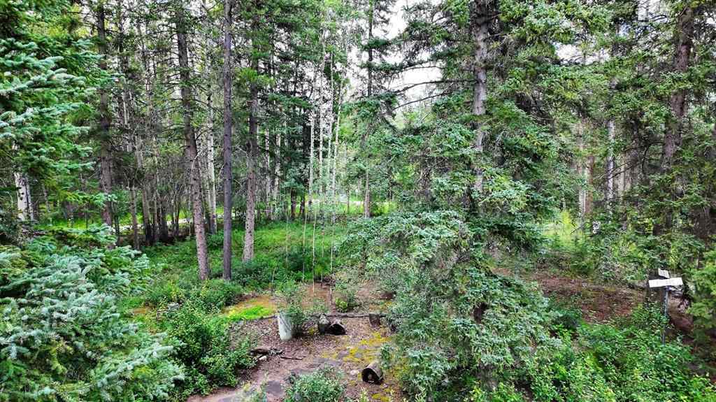 MLS® A2250248 - 908 Larch Place  in Larch Canmore, Residential