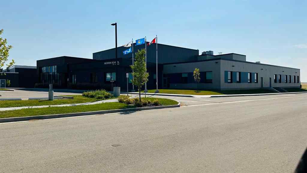 MLS® A2250272 - 111 2 Avenue S   in NONE Morrin, Residential