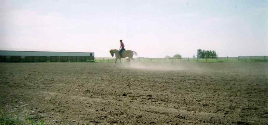 MLS® A2250278 - 242044A Range Road 224   in NONE Rural Wheatland County, Residential
