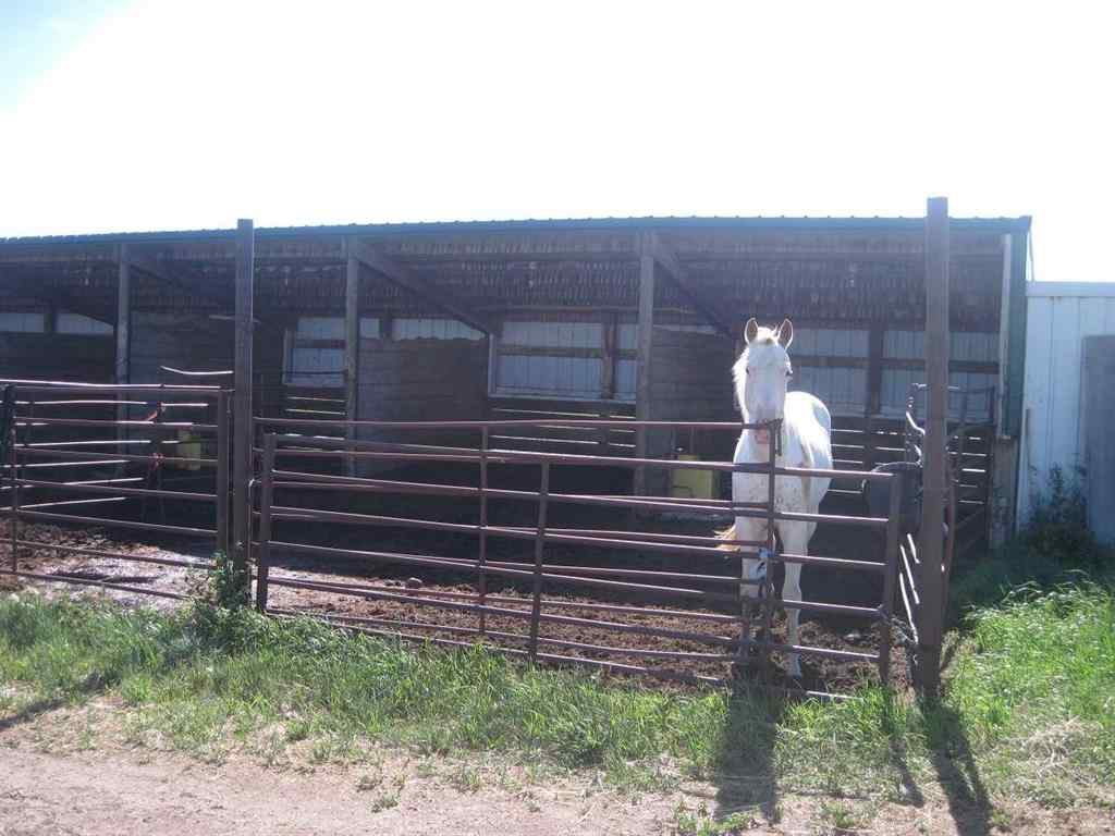 MLS® A2250278 - 242044A Range Road 224   in NONE Rural Wheatland County, Residential