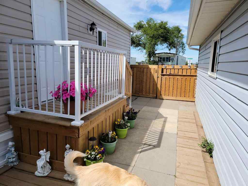 MLS® A2250308 - 4447 Park Crescent  in NONE Coronation, Residential