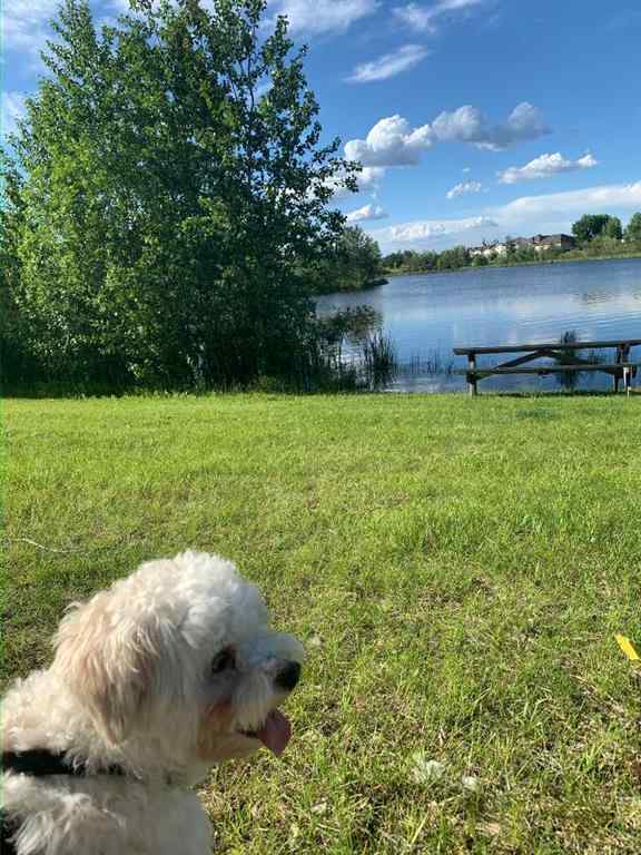 MLS® A2250415 - 121 Brooks Place  in Timberlea Fort McMurray, Residential