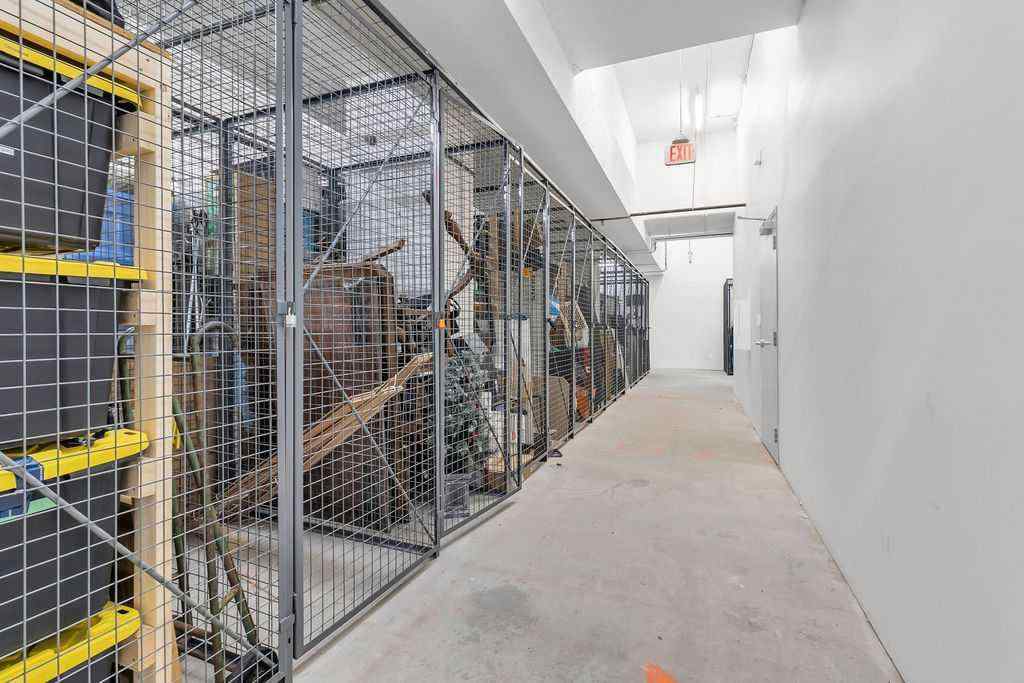 MLS® A2250475 - Unit #1402 1118 12 Avenue SW in Beltline Calgary, Residential