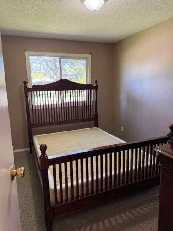 MLS® A2250488 - 10203 103 Street  in NONE High Level, Residential