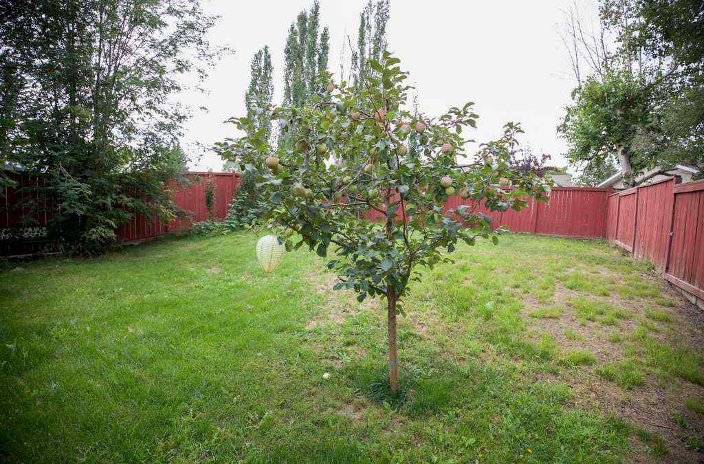 MLS® A2250504 - 12 Eagle Road  in Fairway Heights Lacombe, Residential