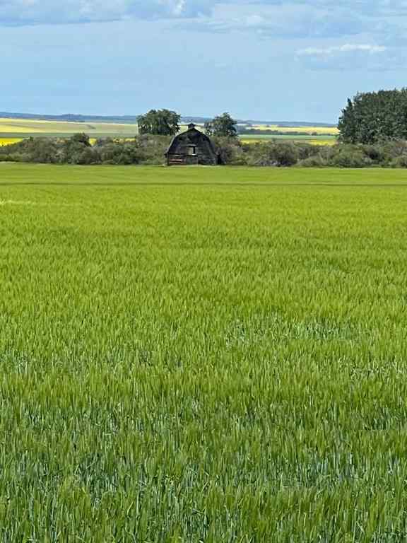 MLS® A2250510 - NE-17-72-6-W6 .   in NONE Grande Prairie, Agri-Business