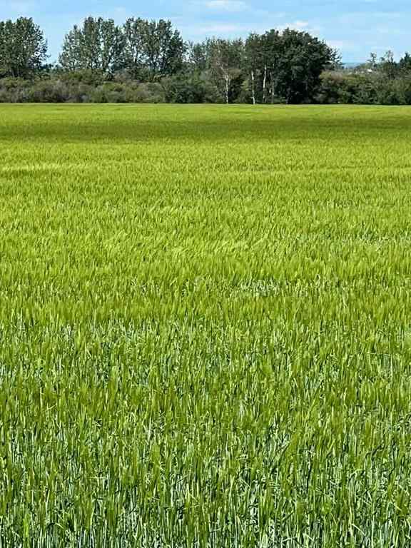 MLS® A2250510 - NE-17-72-6-W6 .   in NONE Grande Prairie, Agri-Business