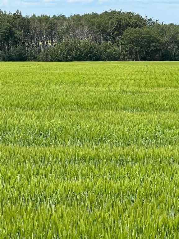 MLS® A2250510 - NE-17-72-6-W6 .   in NONE Grande Prairie, Agri-Business