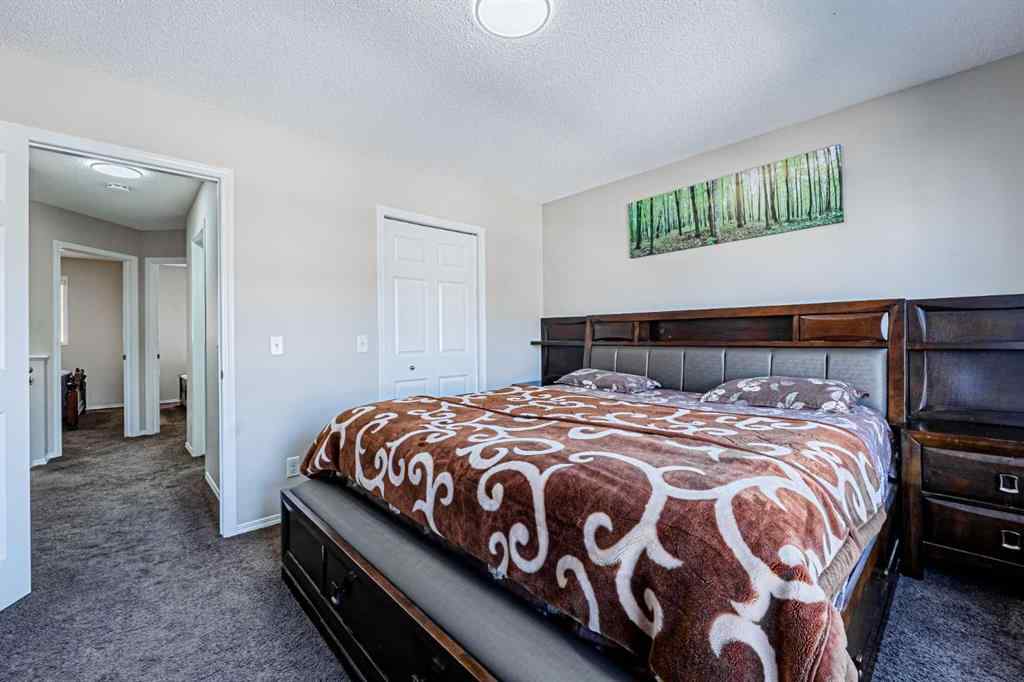 MLS® A2250584 - 131 Skyview point Crescent NE in Skyview Ranch Calgary, Residential