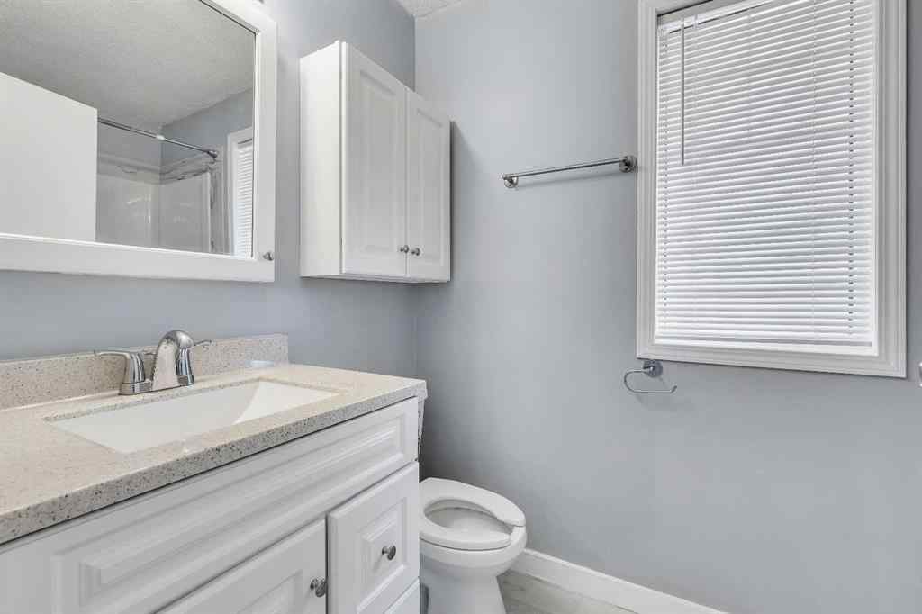 MLS® A2250665 - 43 MARTINWOOD Road NE in Martindale Calgary, Residential