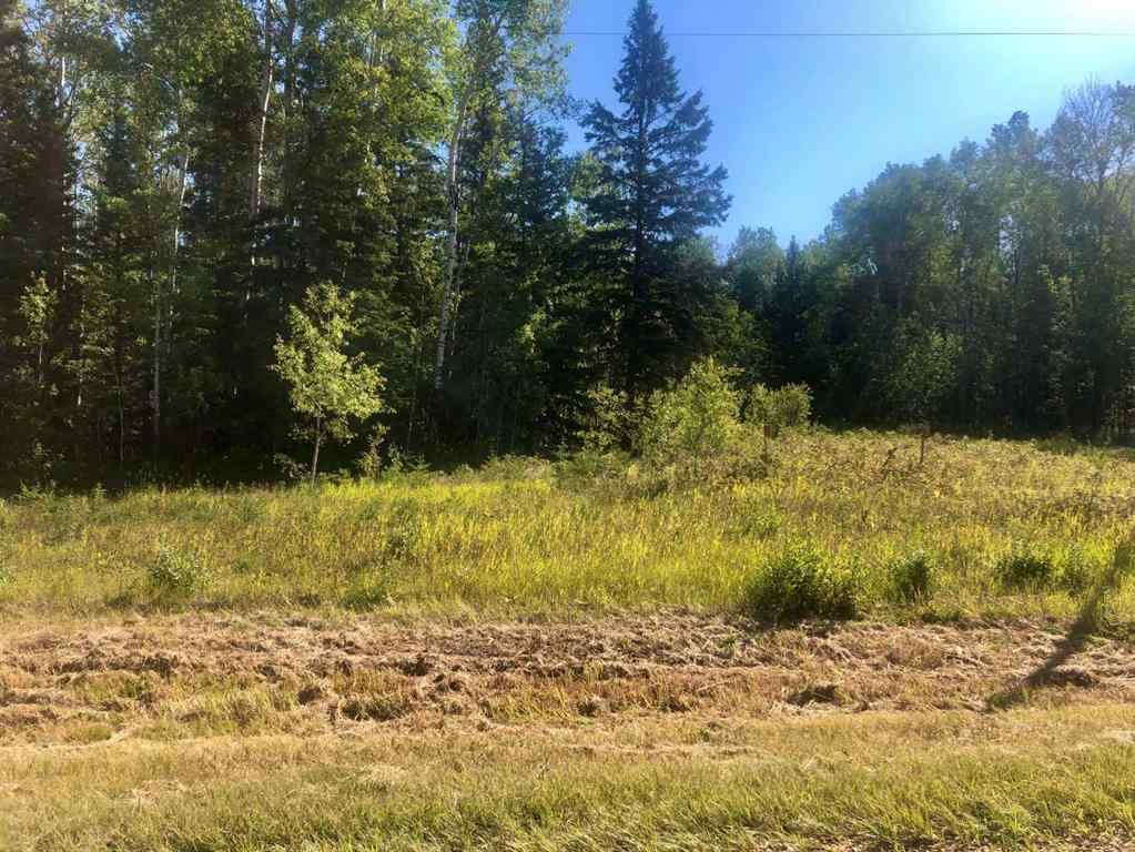 MLS® A2250880 - 111017 Range Road 192   in NONE Rural Mackenzie County, Land