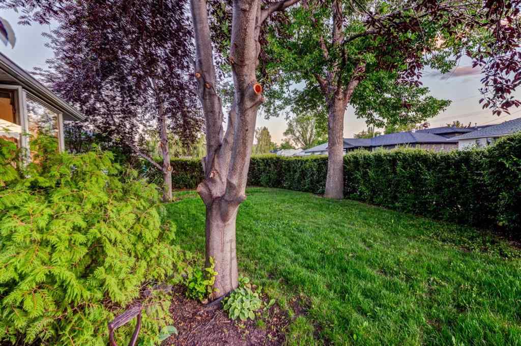 MLS® A2250887 - 6016 Thornburn Drive NW in Thorncliffe Calgary, Residential