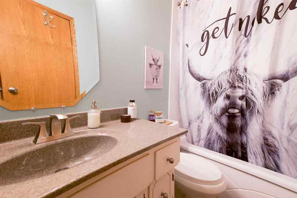 MLS® A2251164 - 46 Wells Street  in West Park Red Deer, Residential
