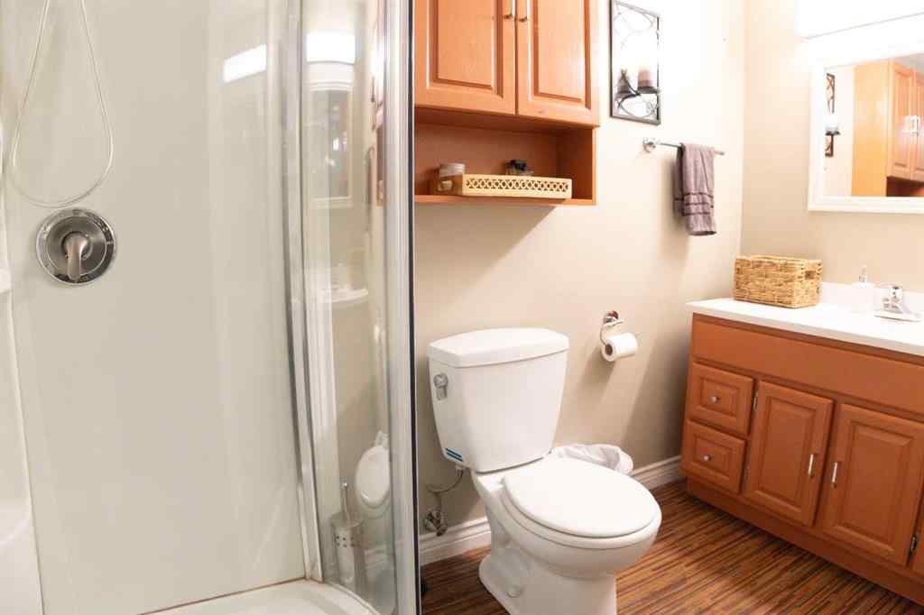 MLS® A2251164 - 46 Wells Street  in West Park Red Deer, Residential