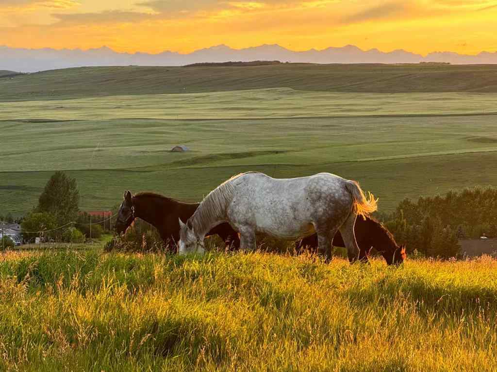MLS® A2251193 - 418066 48 Street W in NONE Rural Foothills County, Agri-Business