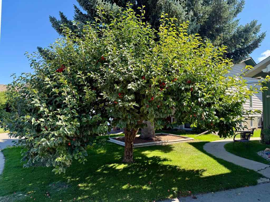 MLS® A2251249 - 807 8 Avenue SE in Emerson Lake Estates High River, Residential