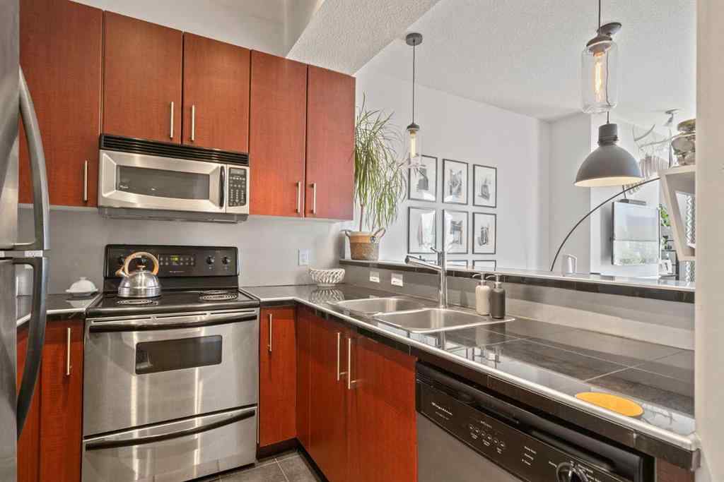 MLS® A2251287 - Unit #301 880 Centre Avenue NE in Bridgeland/Riverside Calgary, Residential