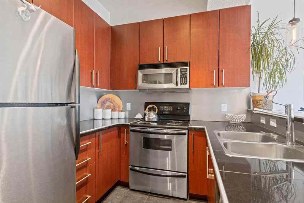 MLS® A2251287 - Unit #301 880 Centre Avenue NE in Bridgeland/Riverside Calgary, Residential