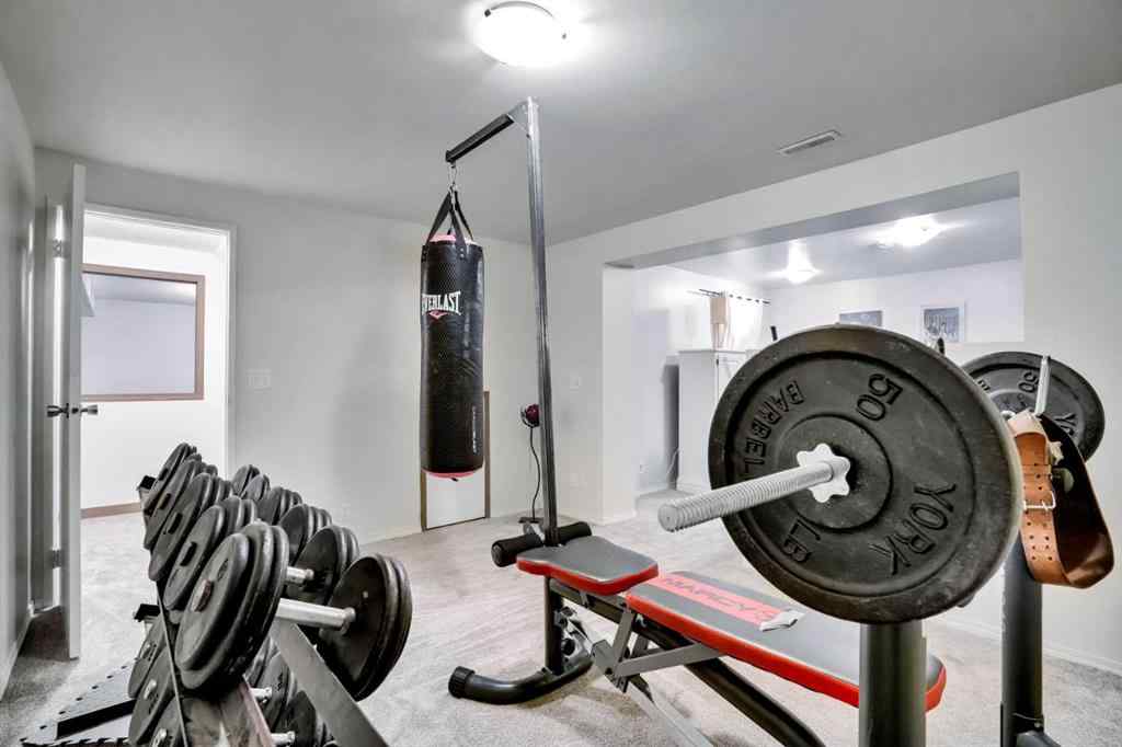 MLS® A2251372 - 16 Rundleson Way NE in Rundle Calgary, Residential