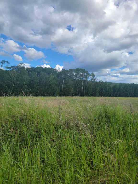 MLS® A2251425 - 70 Ave 98 Street  in NONE Peace River, Land