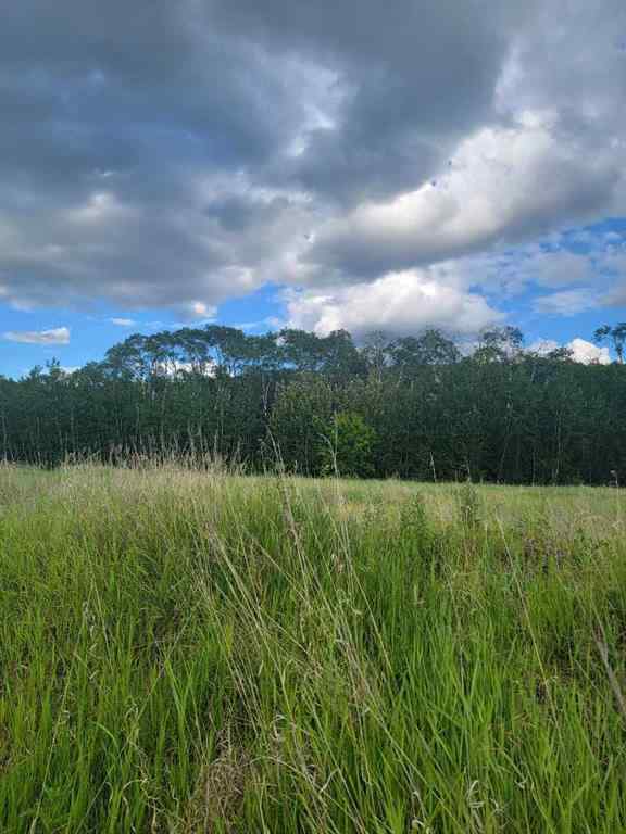 MLS® A2251425 - 70 Ave 98 Street  in NONE Peace River, Land