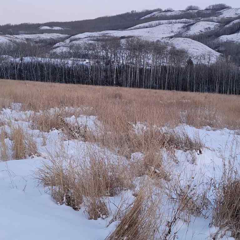 MLS® A2251425 - 70 Ave 98 Street  in NONE Peace River, Land
