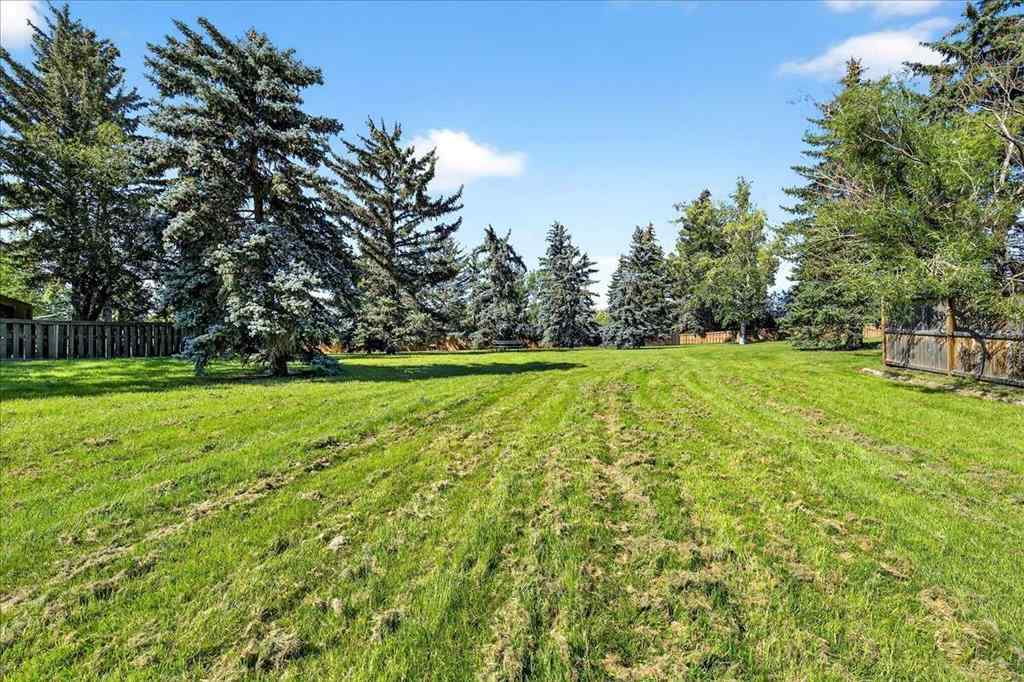 MLS® A2251446 - 6419 26 Avenue NE in Pineridge Calgary, Residential