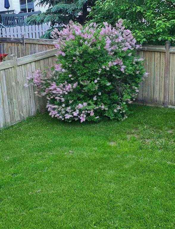 MLS® A2251450 - 143 Breukel Crescent  in Timberlea Fort McMurray, Residential